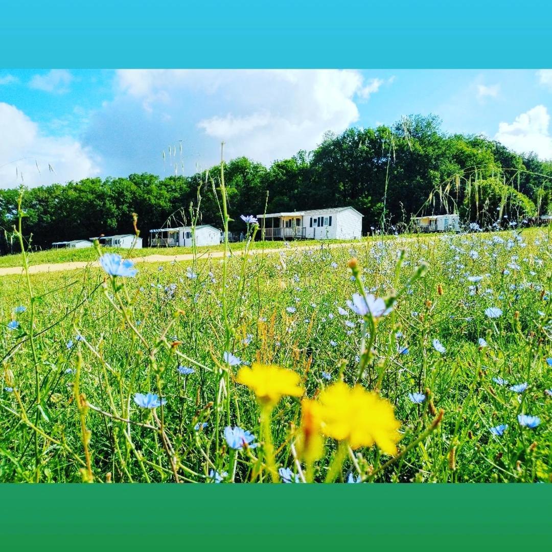 Camping Nature Le Valenty Mobil-Home-Dordogne Panoramique Clim Piscine Soturac Ngoại thất bức ảnh