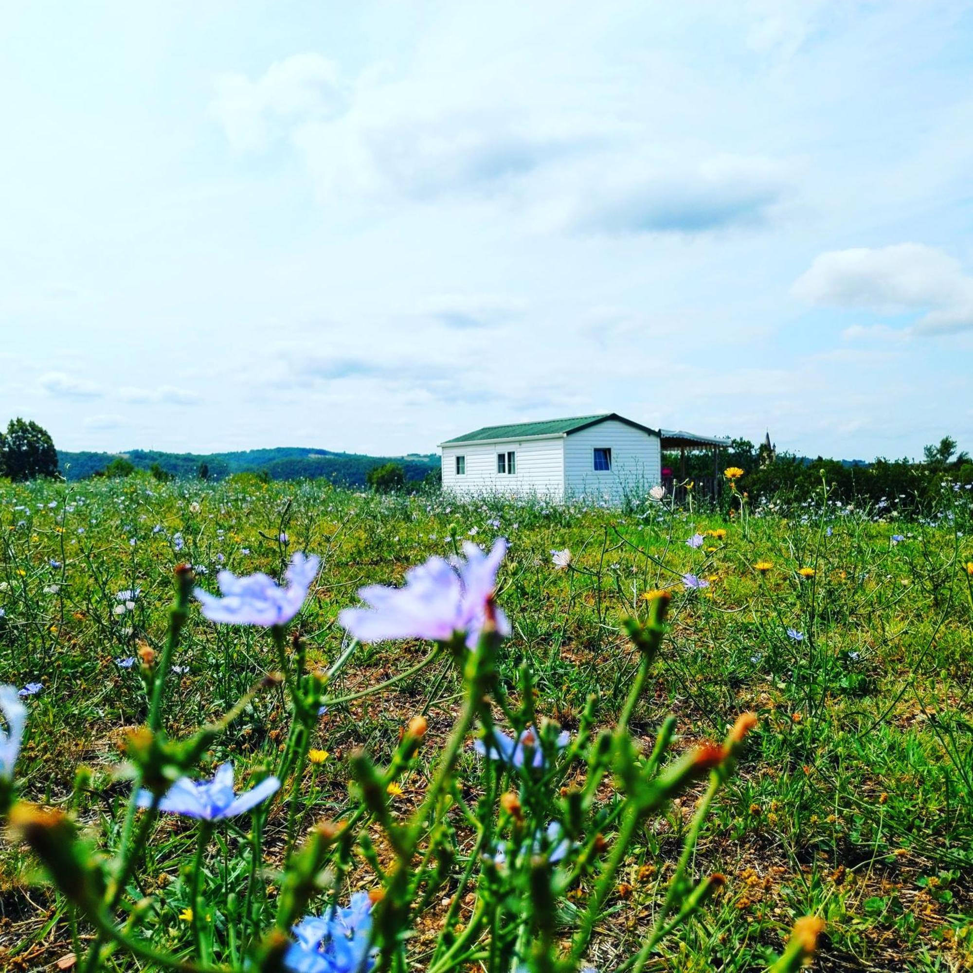 Camping Nature Le Valenty Mobil-Home-Dordogne Panoramique Clim Piscine Soturac Ngoại thất bức ảnh