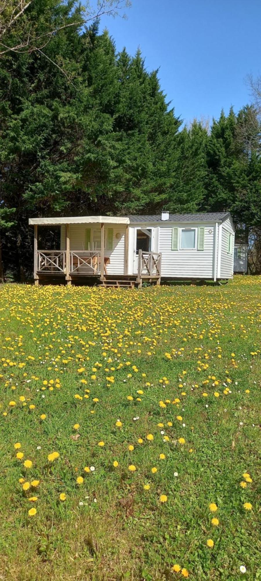 Camping Nature Le Valenty Mobil-Home-Dordogne Panoramique Clim Piscine Soturac Ngoại thất bức ảnh